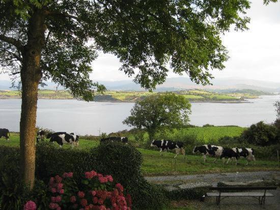 Bed and Breakfast Dromcloc House Bantry Zewnętrze zdjęcie