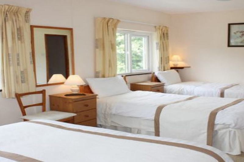 Bed and Breakfast Dromcloc House Bantry Zewnętrze zdjęcie